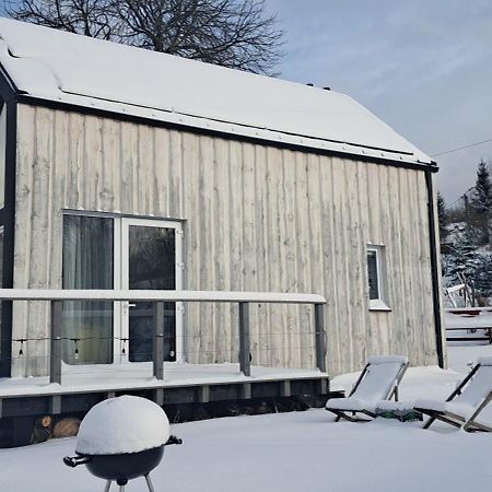 Domek Mecenasa Nieledwia Exterior foto